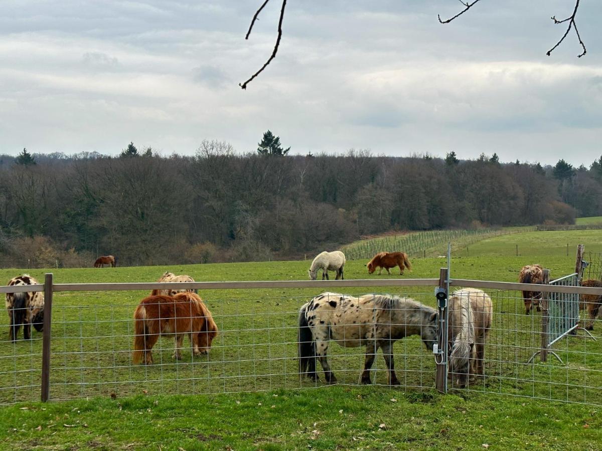 Bungalowpark Landsrade Gulpen Zewnętrze zdjęcie