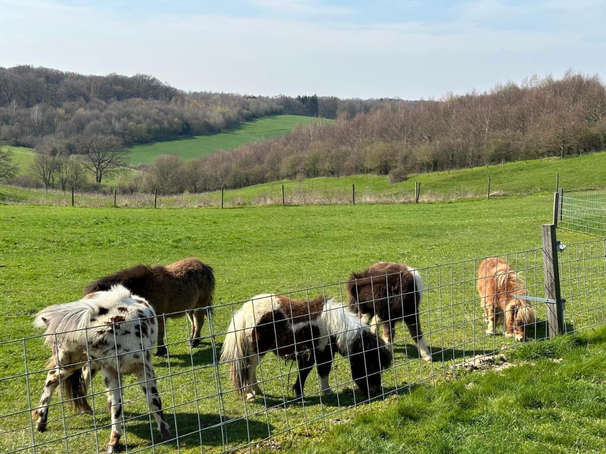 Bungalowpark Landsrade Gulpen Zewnętrze zdjęcie